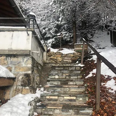 La Rapille Leysin